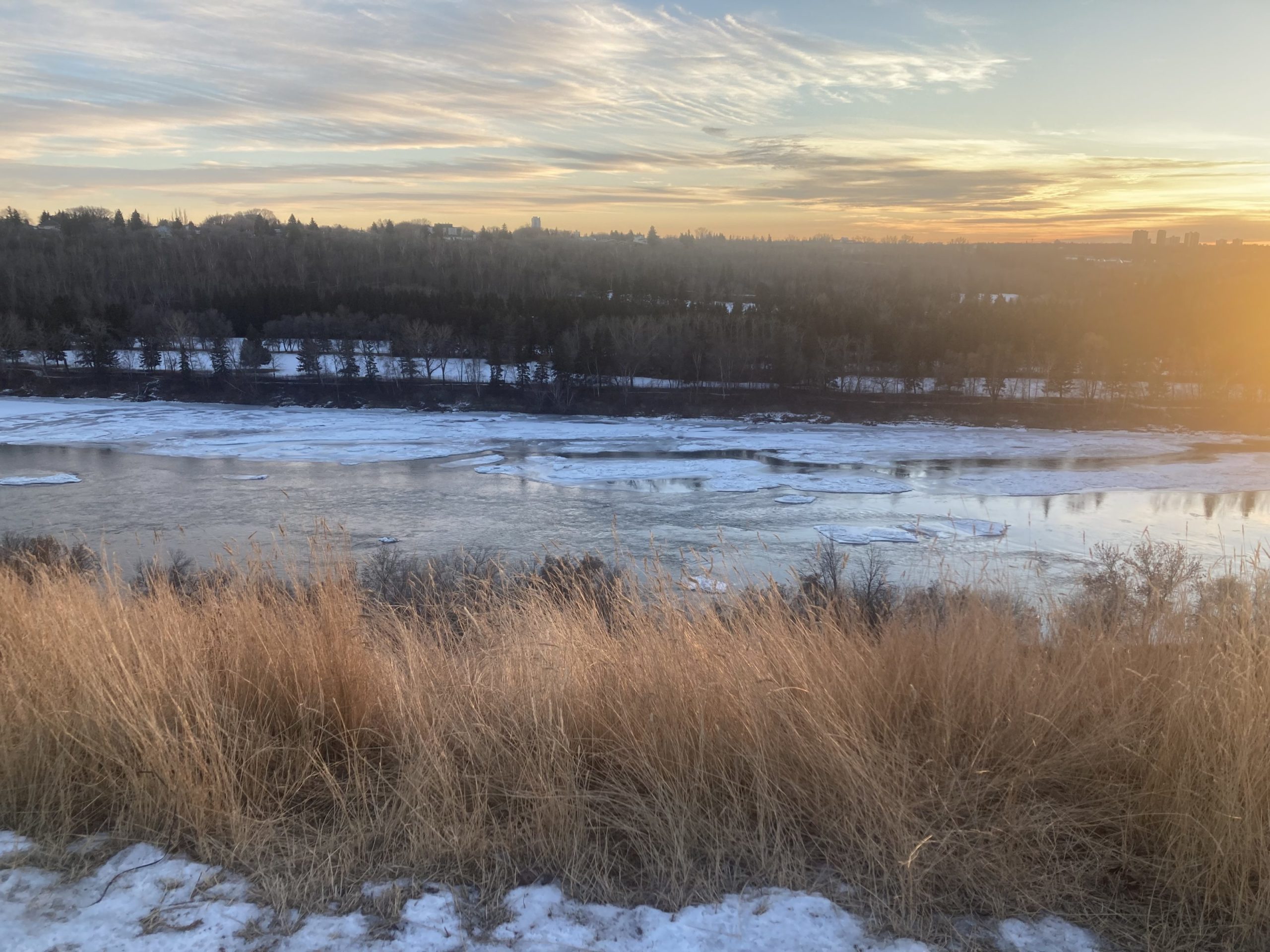 Edmonton homes with Poly-B plumbing — winter skyline view